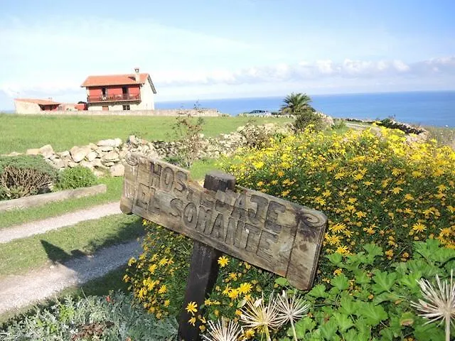 El Somante (adults Only)